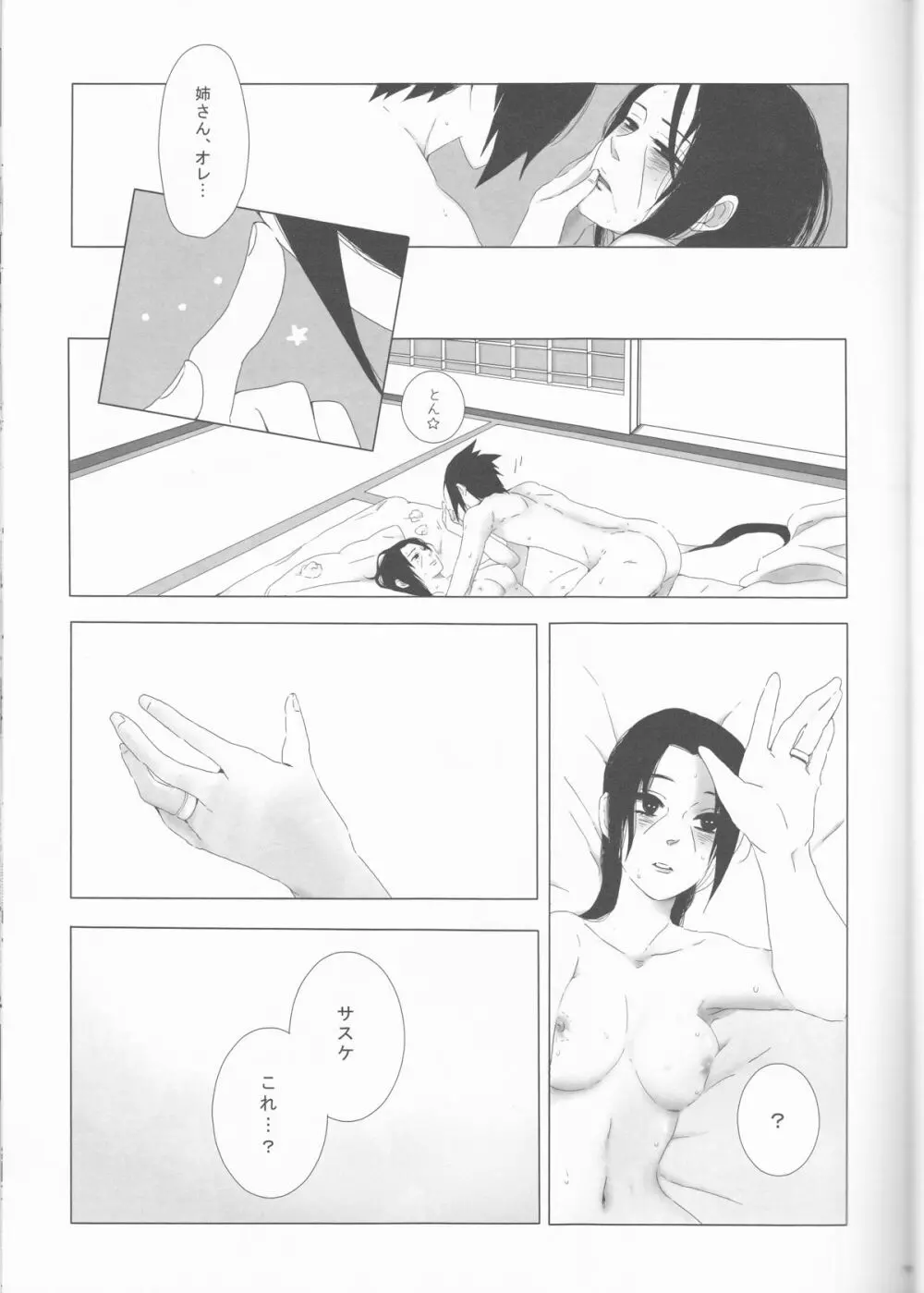美姉と愚弟 Page.11