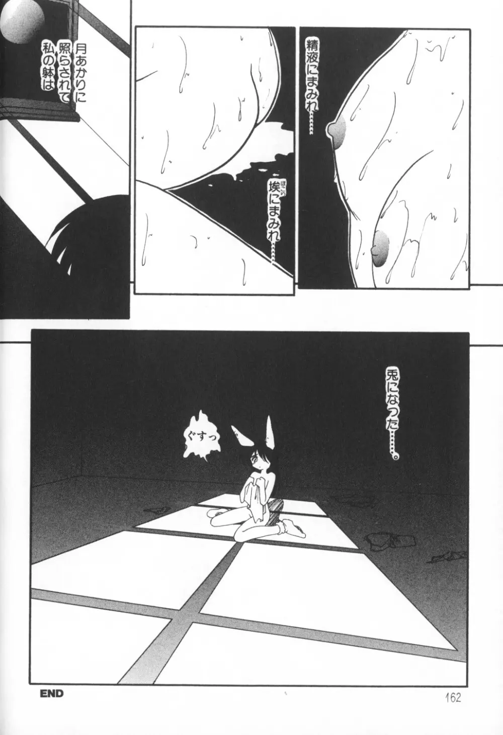 秘密の地下室 Vol.1 Page.162