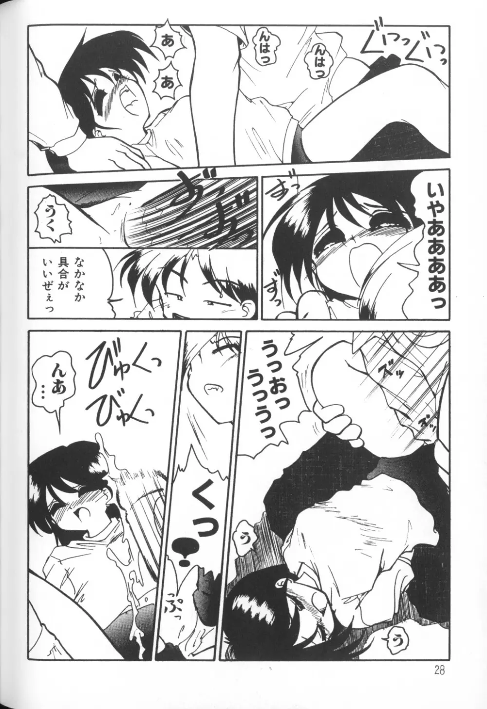 秘密の地下室 Vol.1 Page.28