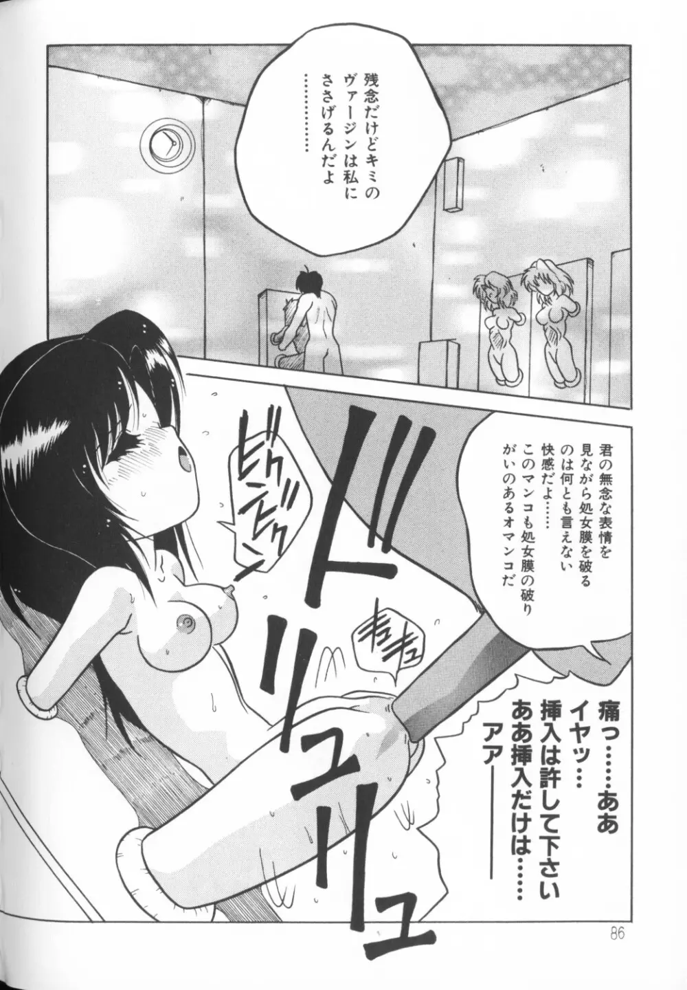 秘密の地下室 Vol.1 Page.86