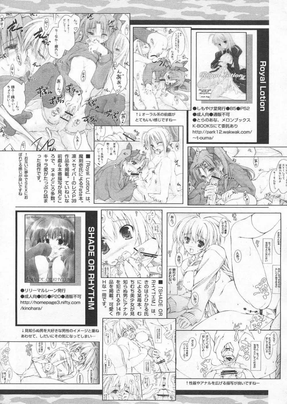 COMIC パピポ 2005年4月号 Page.244