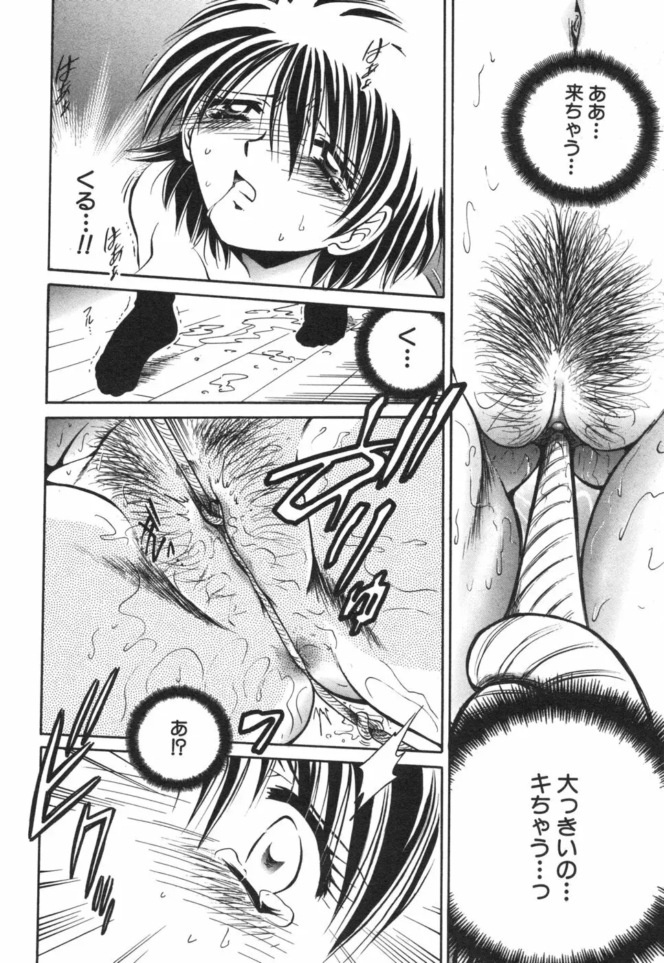 コミック姫盗人 2006年08月号 Page.294
