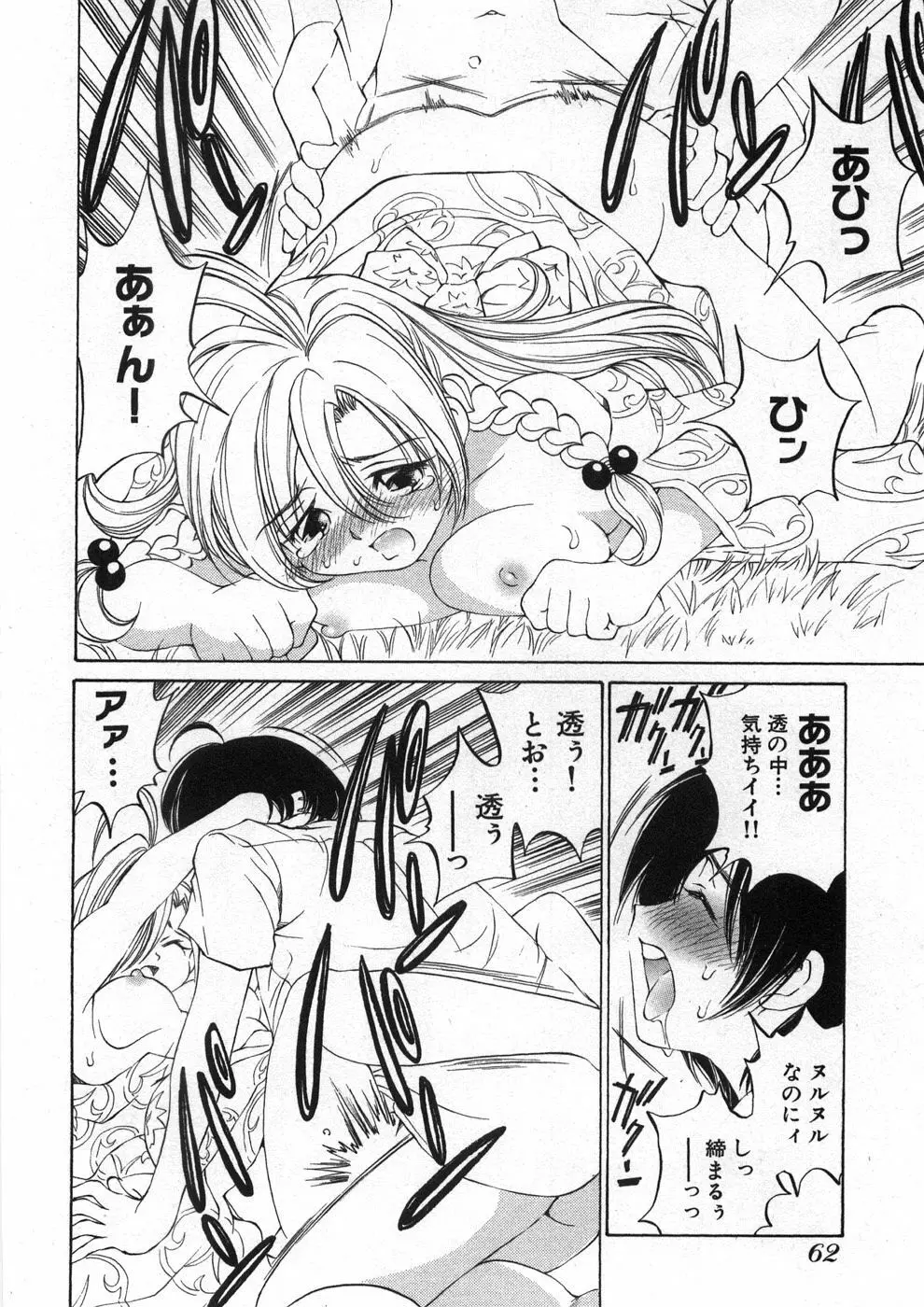 恋する花々♥2 Page.67