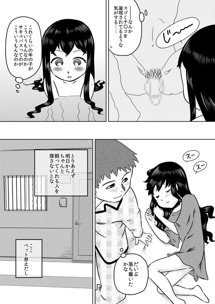 拾い少女 ~ある雨の日ロリサキュバスを持ち帰った~ Page.5