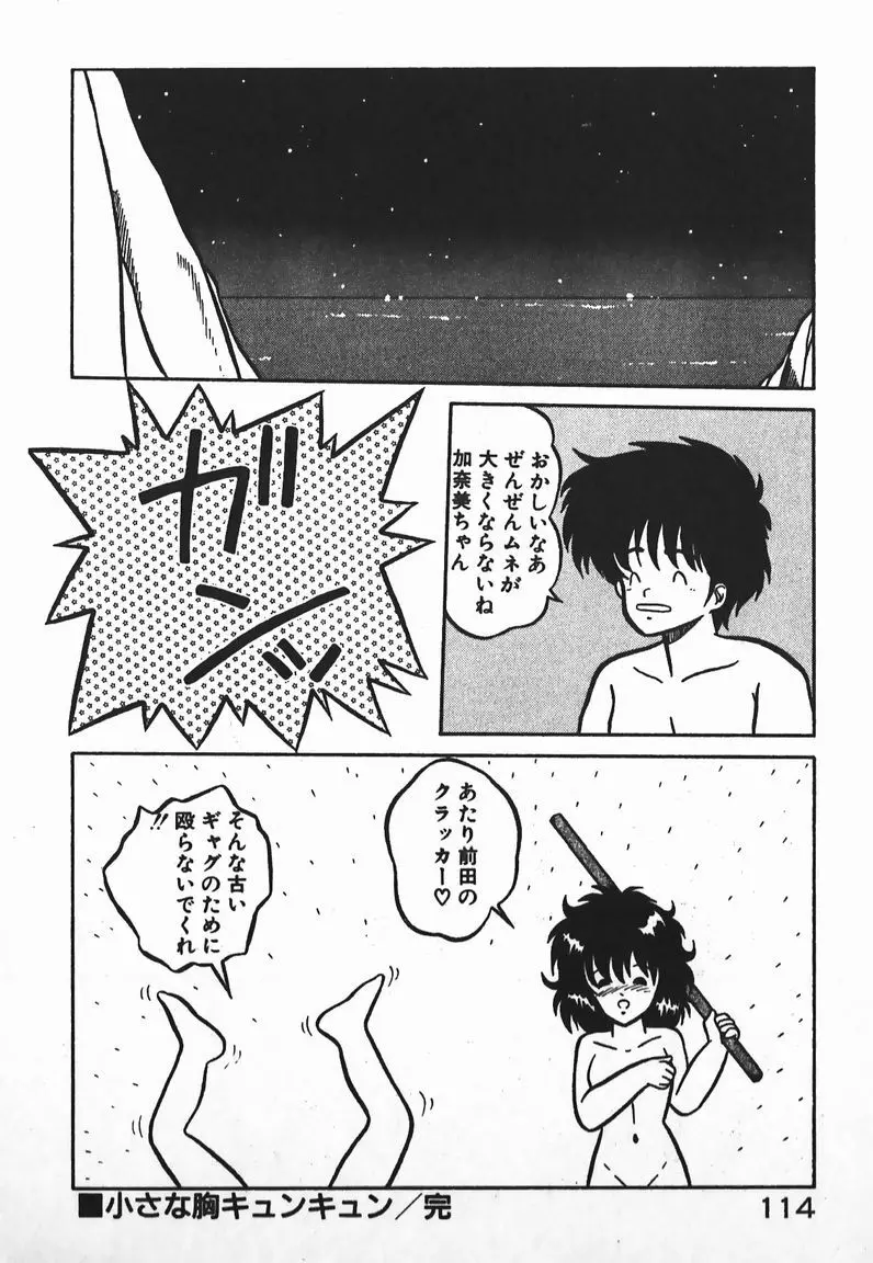 ラブラブ戦線異状あり！ Page.114