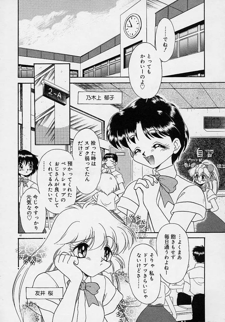 調教しちゃうぞ! Page.41