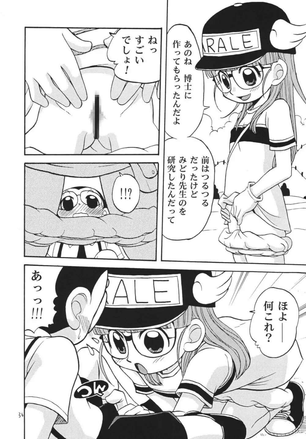 PROJECT ARALE Page.35