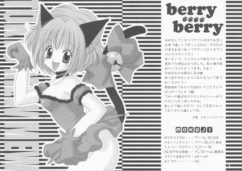 berry berry Page.4