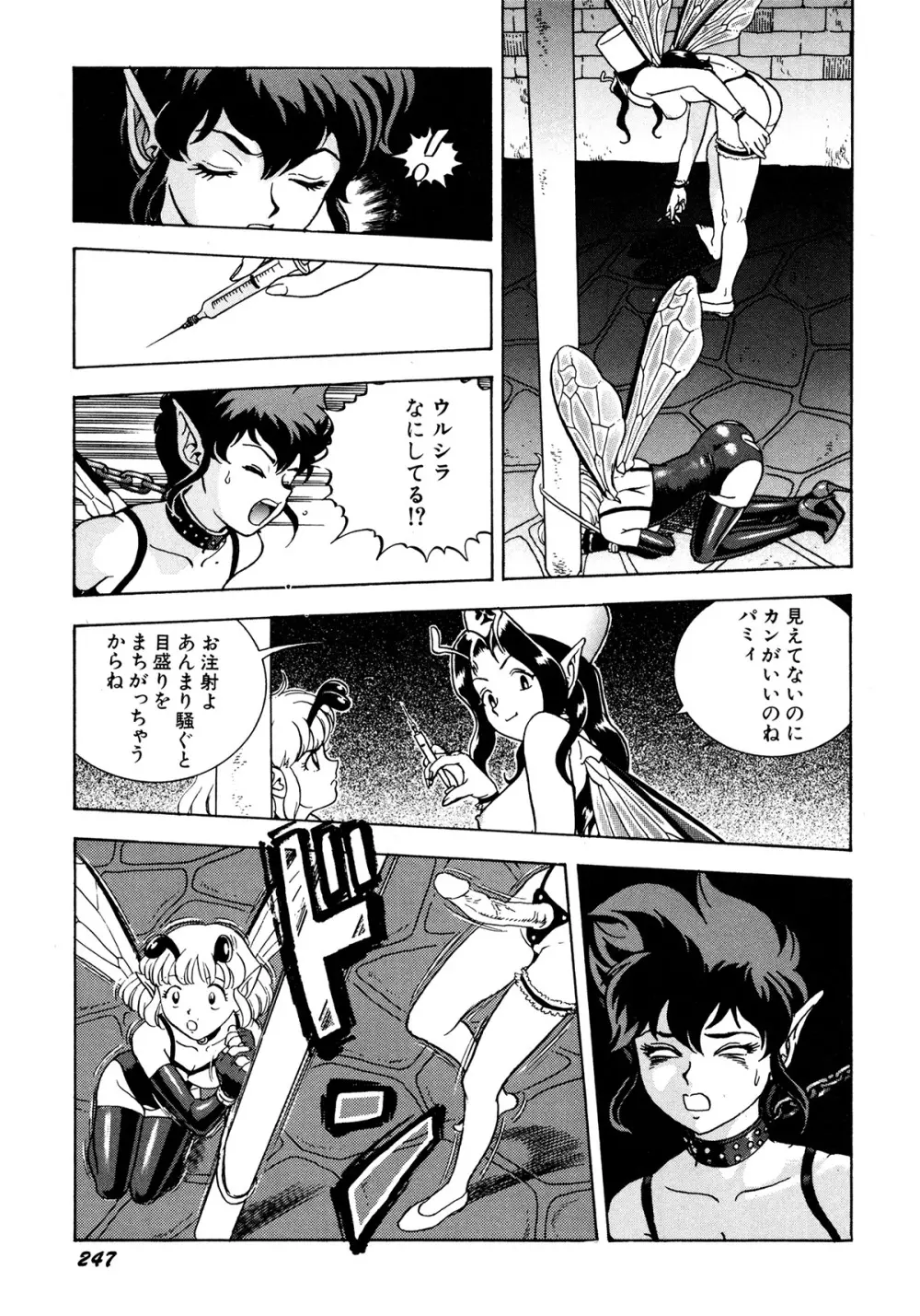 フェアリー・クリニック Page.250