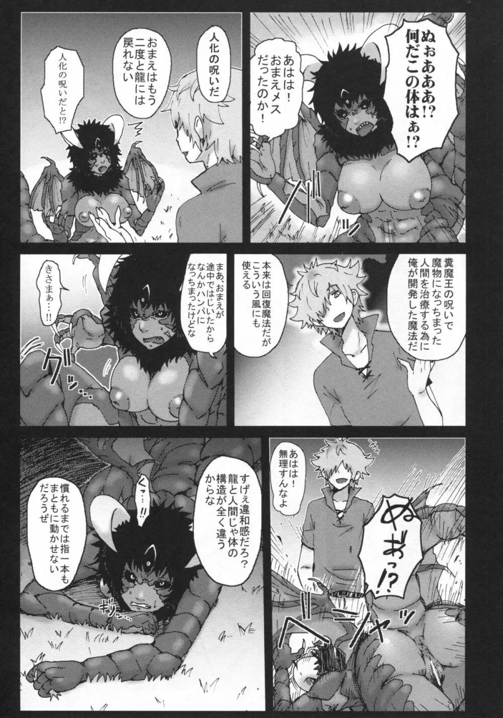 百鬼夜行 Lv.2 Lizerds Page.40