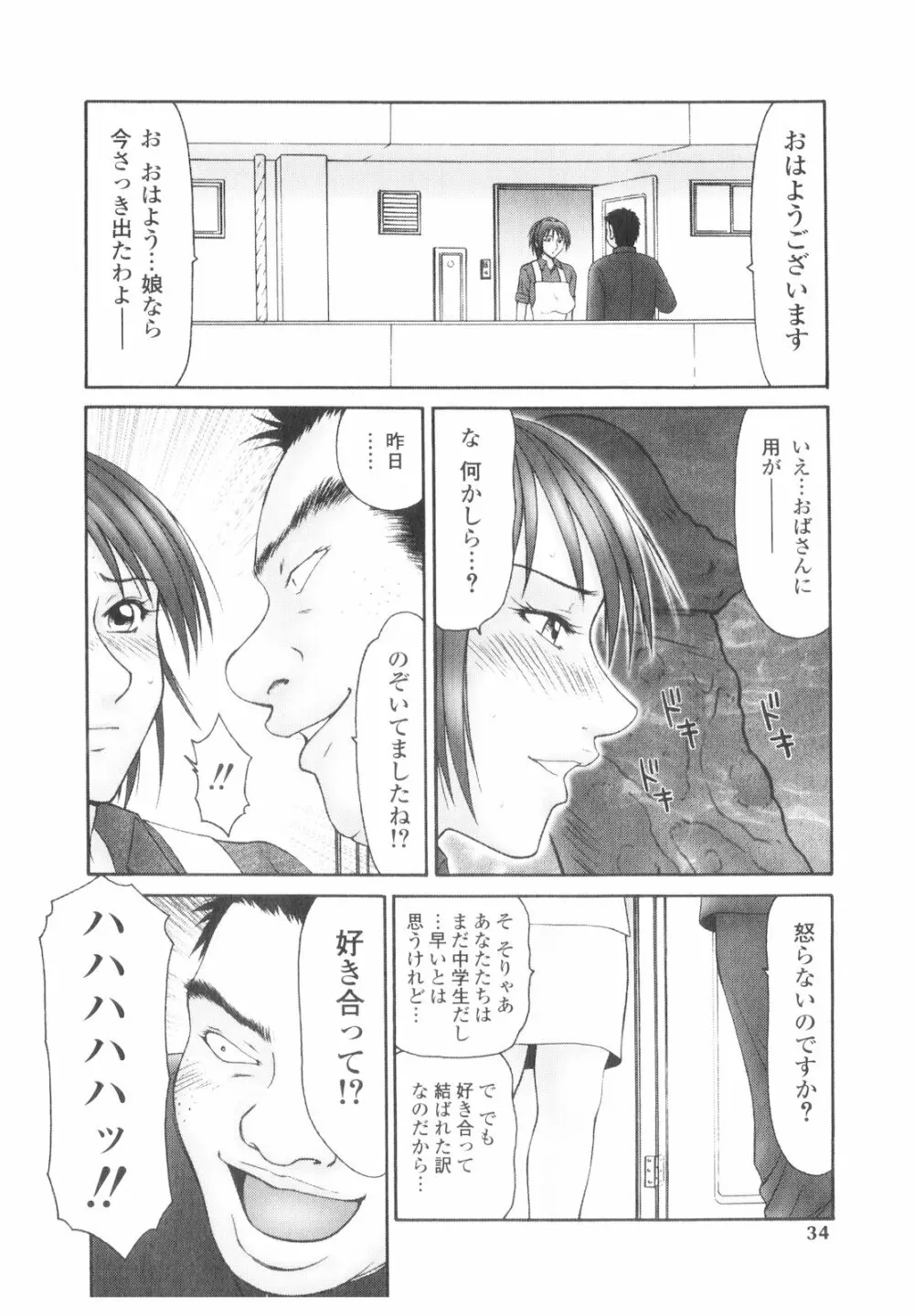 プラチナ Vol.2 Page.33