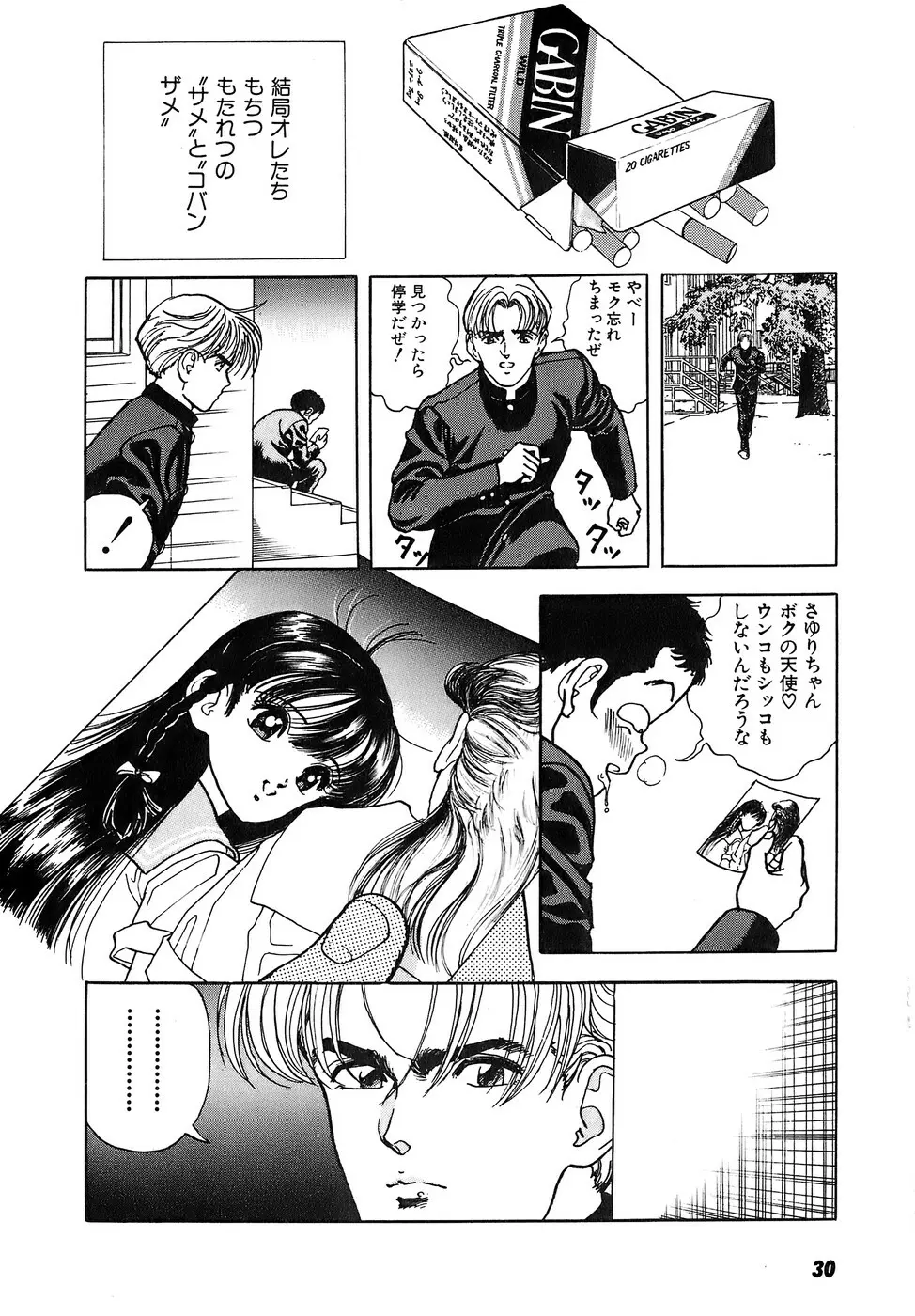 彼女の陰謀 2 Page.31