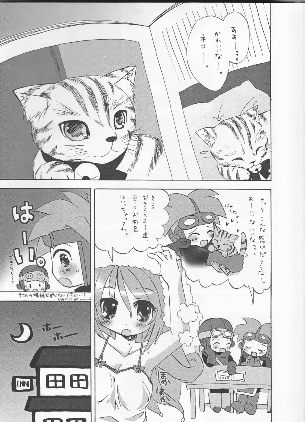 ねこむんぷれみあむ Page.6