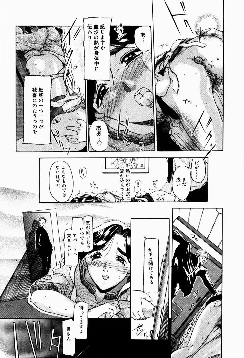 人妻とぼく Page.178