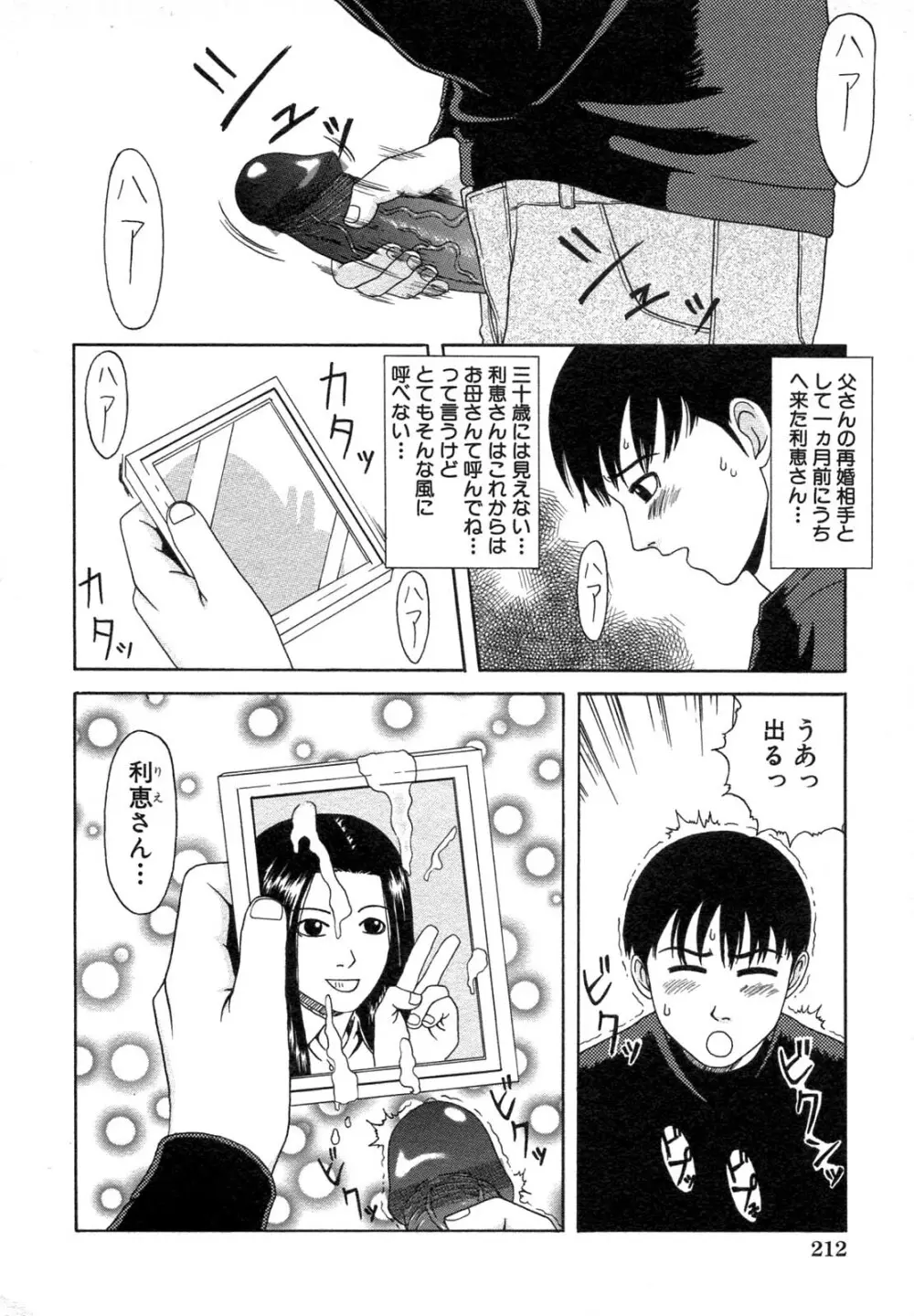 禁断姦淫 Vol.12 母子相姦 Page.214