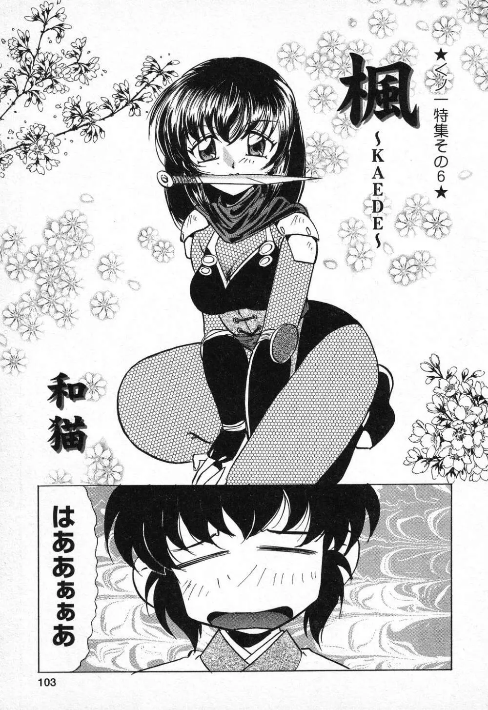 ぴゅあぷちっと Vol.11 Page.104