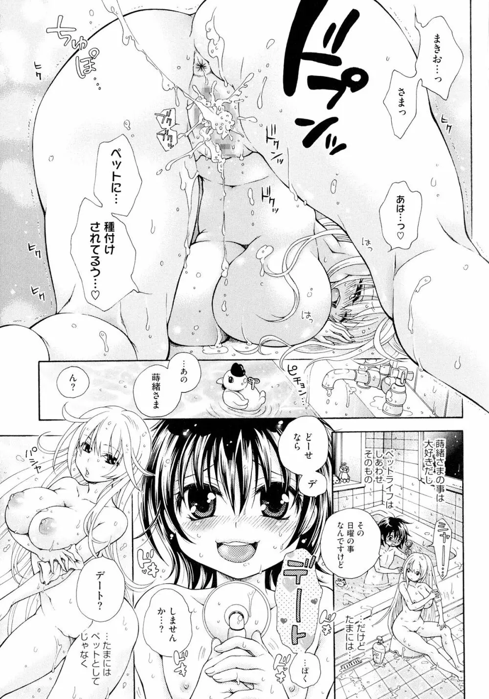 幸福なペット Page.41