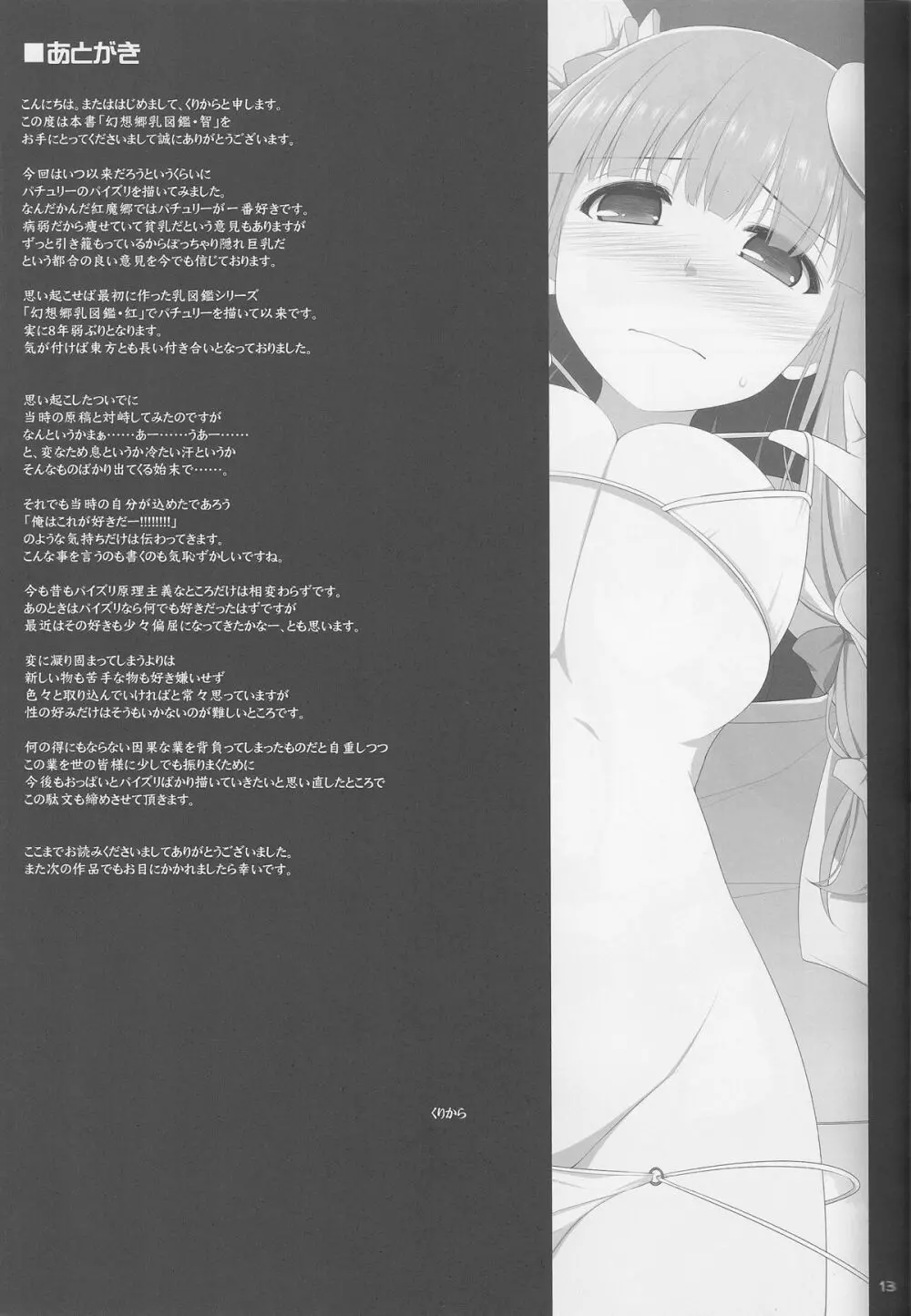 幻想郷乳図鑑・智 Page.12