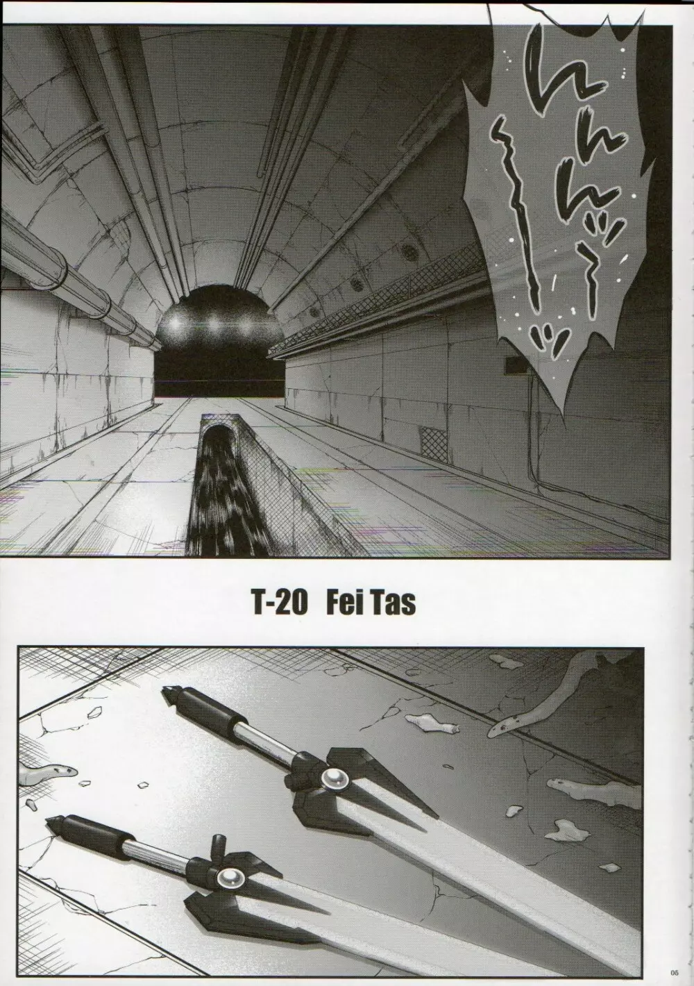 T-20 Fei Tas Page.4