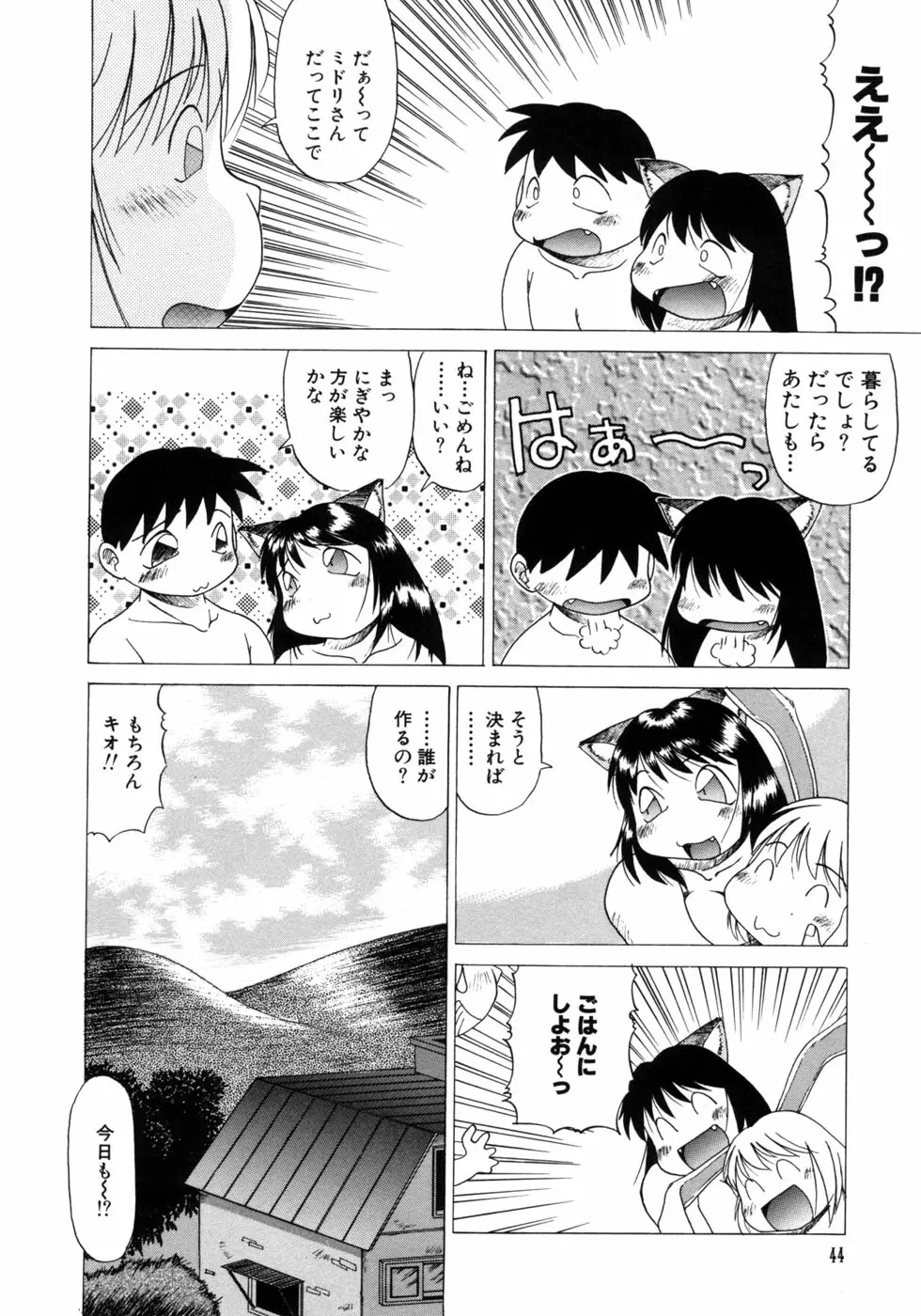 愉しいオモチャ Page.46