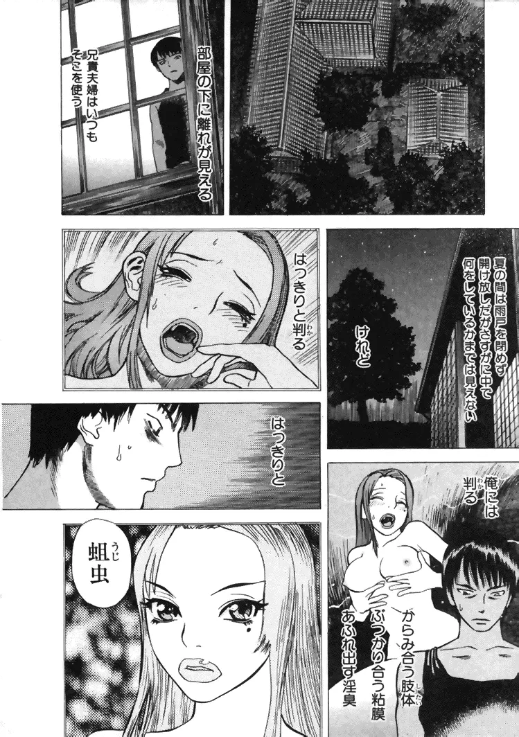 CROSS Page.25