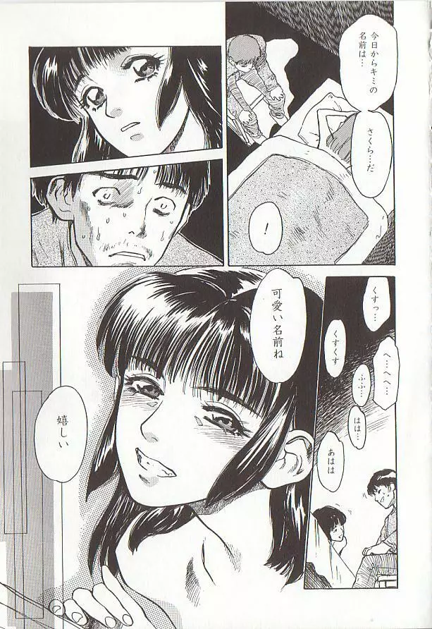 桜色の肖像 Night Gallery I Page.17