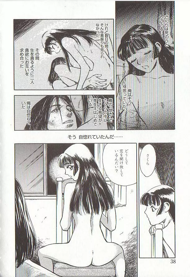 桜色の肖像 Night Gallery I Page.38