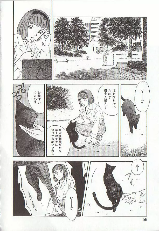 桜色の肖像 Night Gallery I Page.66