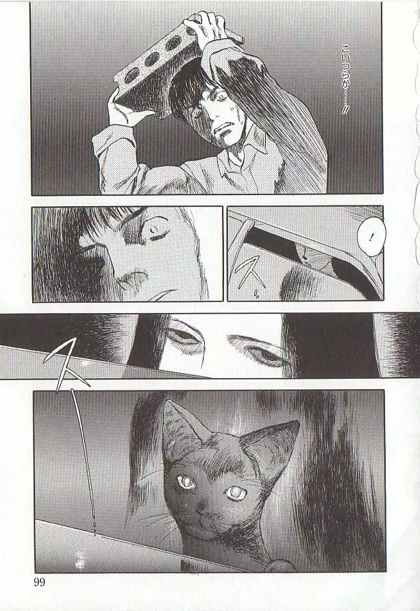 桜色の肖像 Night Gallery I Page.99