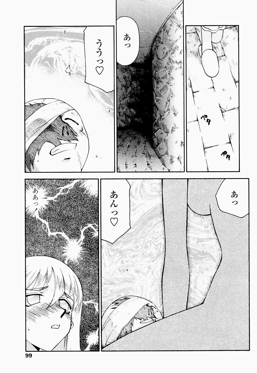 聖王女 フェリシア・下 Page.100