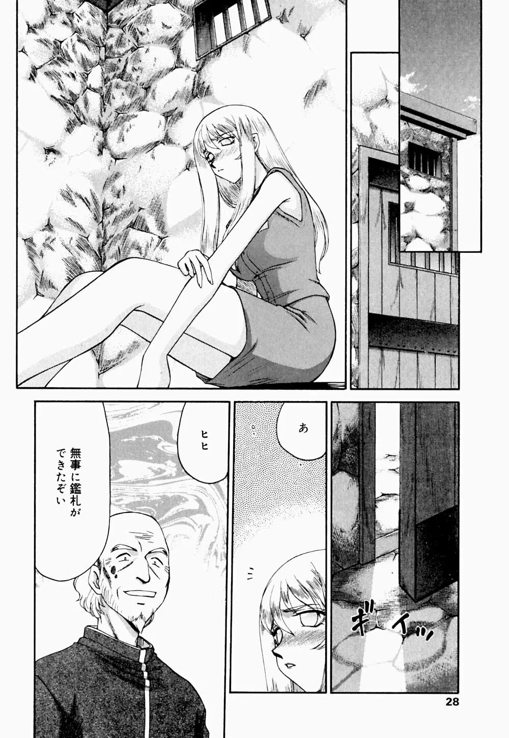 聖王女 フェリシア・下 Page.29