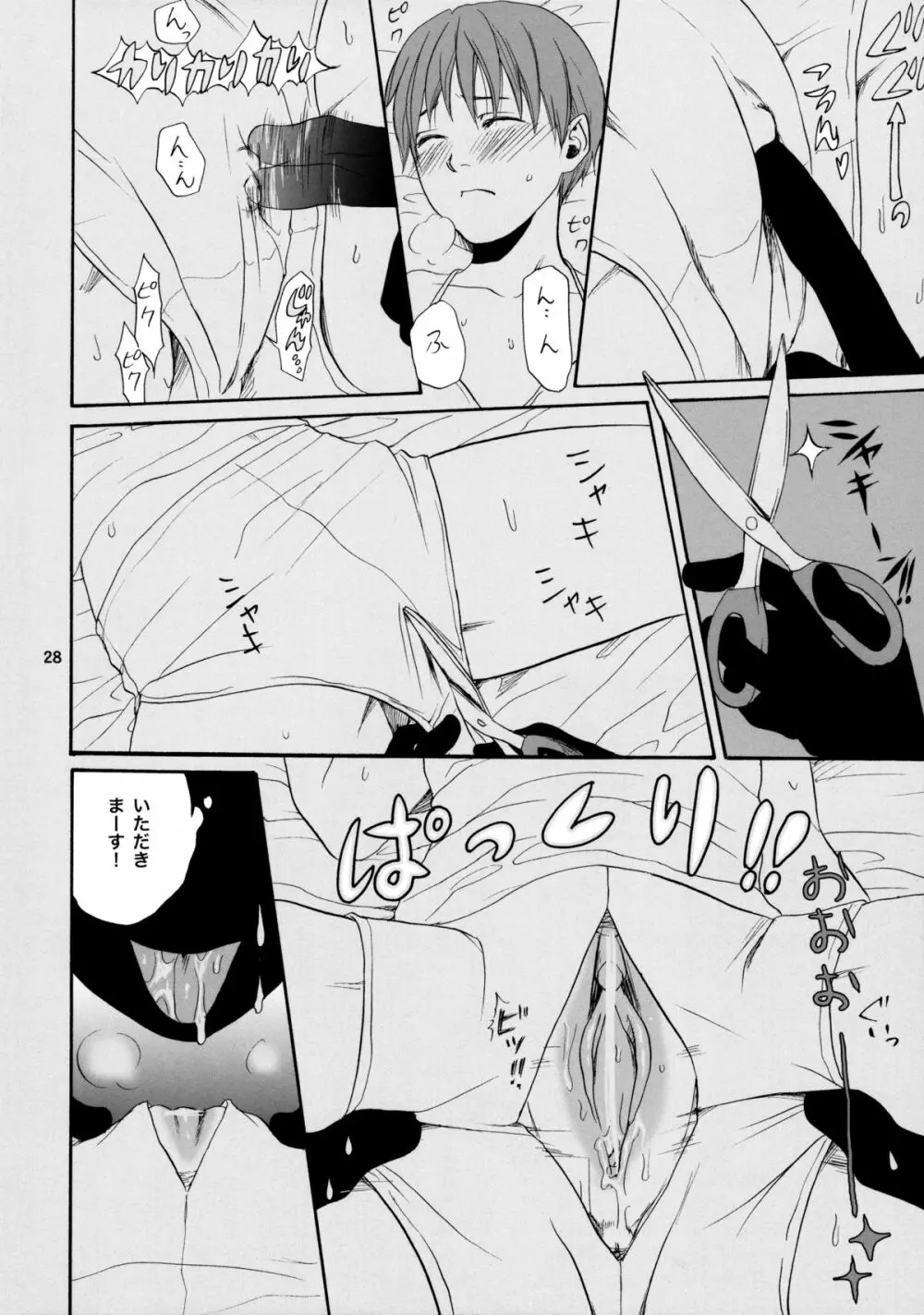 ほてねこ Page.27