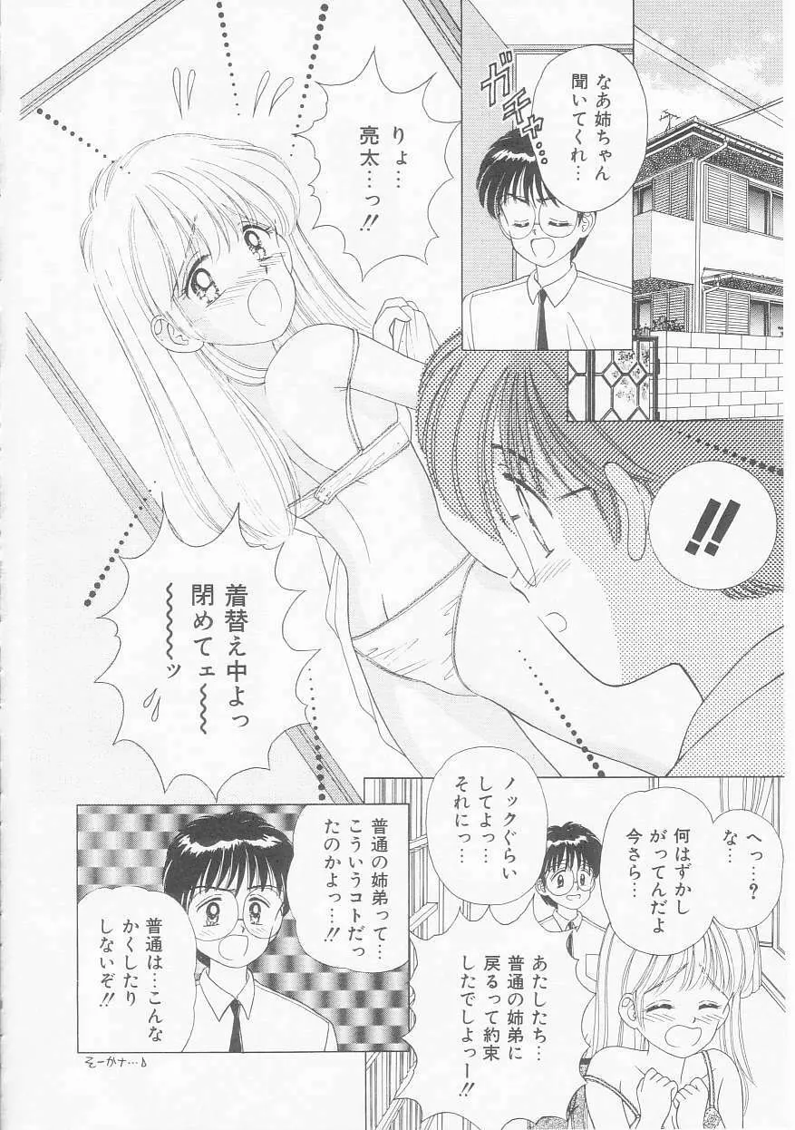 あぶない姉弟 Page.29