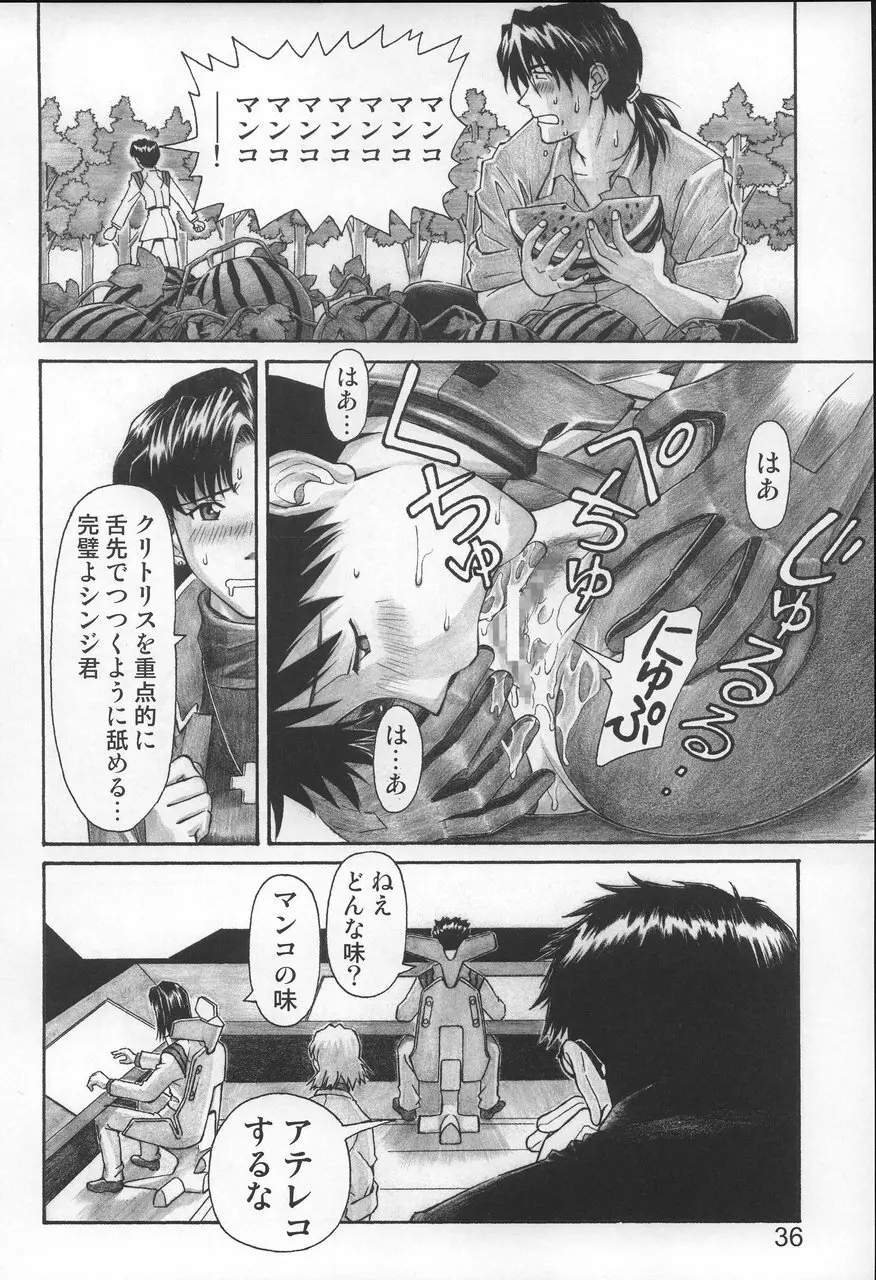 ネルフの一番長い日 Page.35