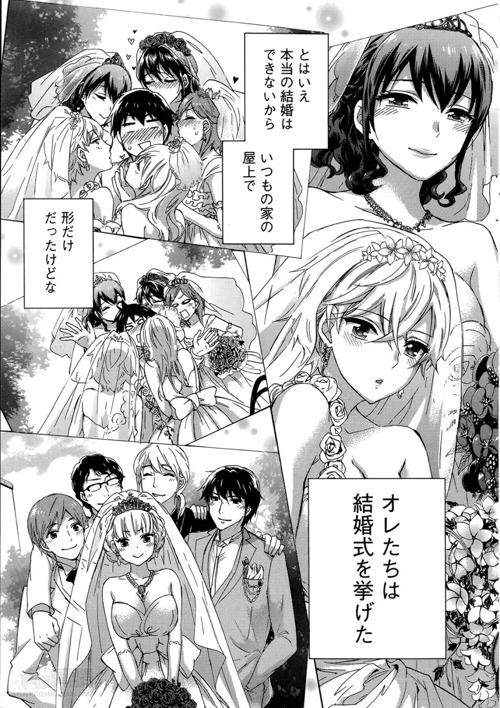 絶対★は～れむ 第40-52+4話 Page.243