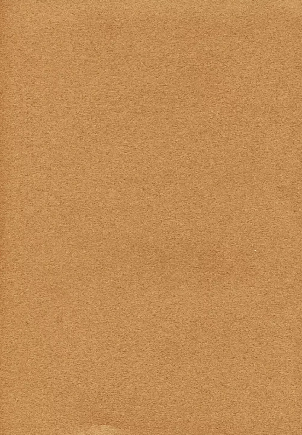 Caffe' latte Page.2