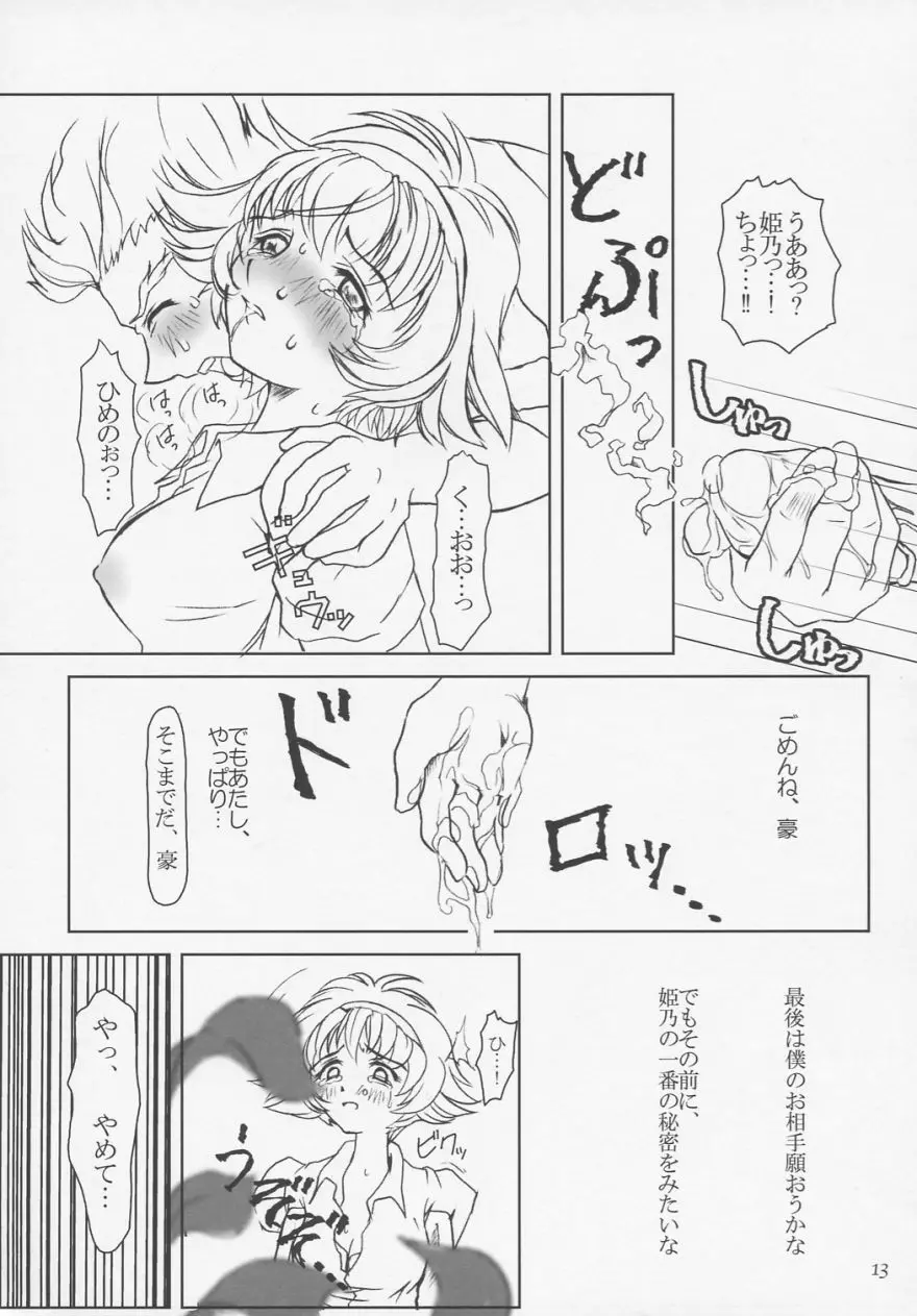 プリーティア ひめのおもかげ Page.12