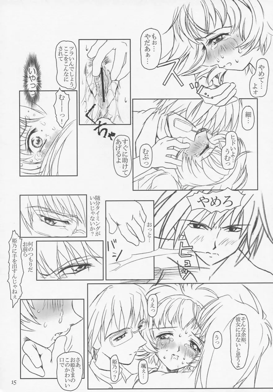 プリーティア ひめのおもかげ Page.14