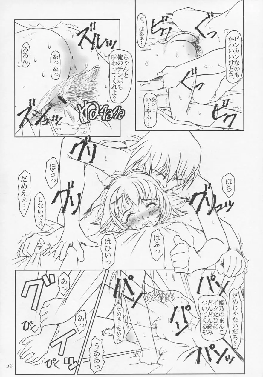 プリーティア ひめのおもかげ Page.25