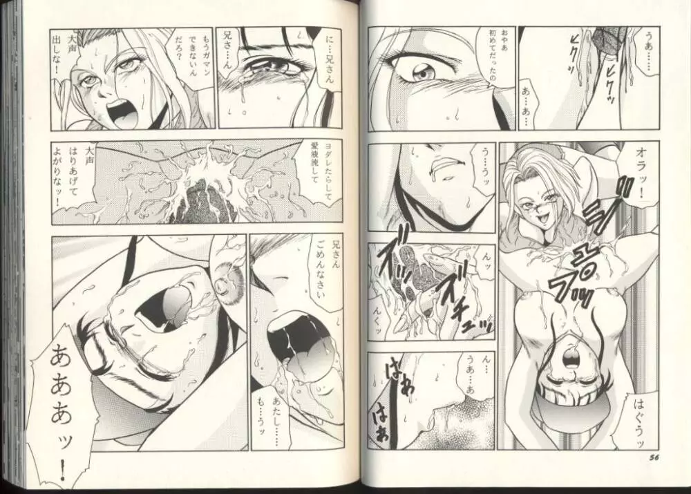 ゲーム美姫 Vol.8 Page.29