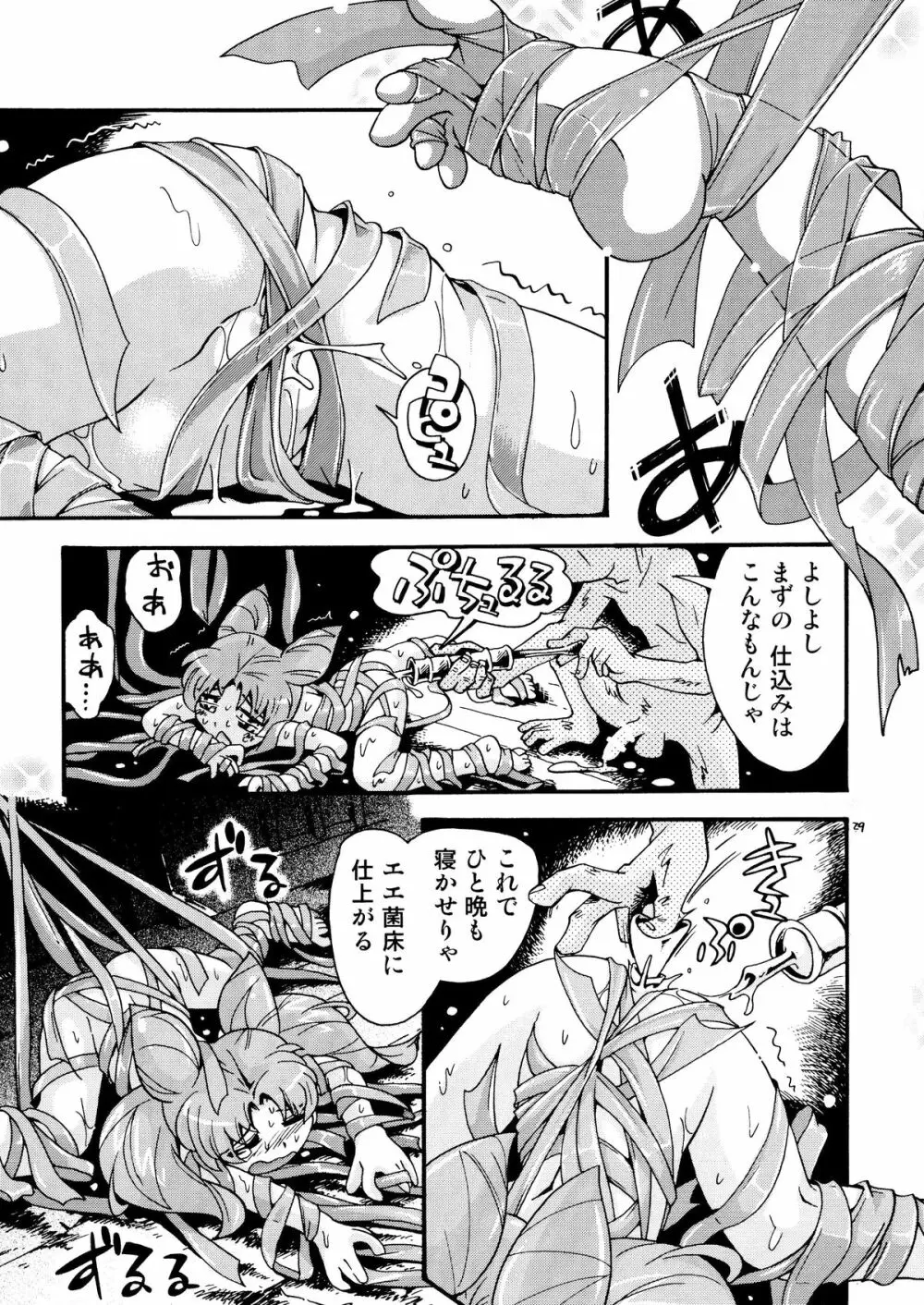 ちっちゃな美少女戦士 4 Page.29