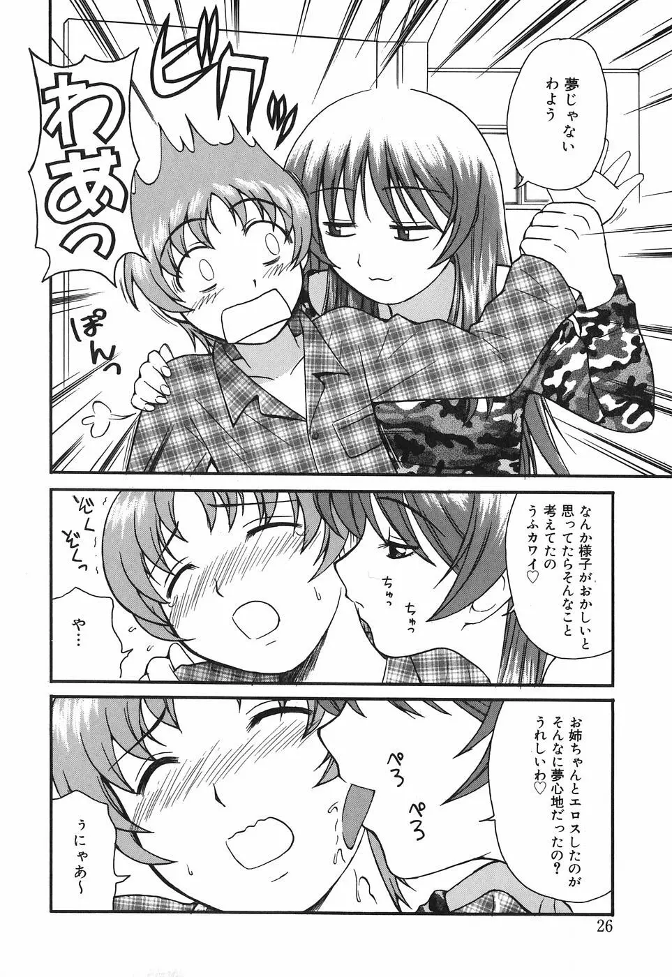 お姉さんは何の人? Page.28