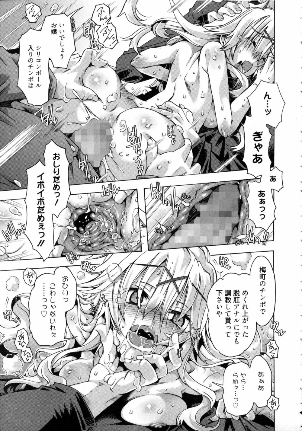 イバラヒメ + 4Pリーフレット Page.204