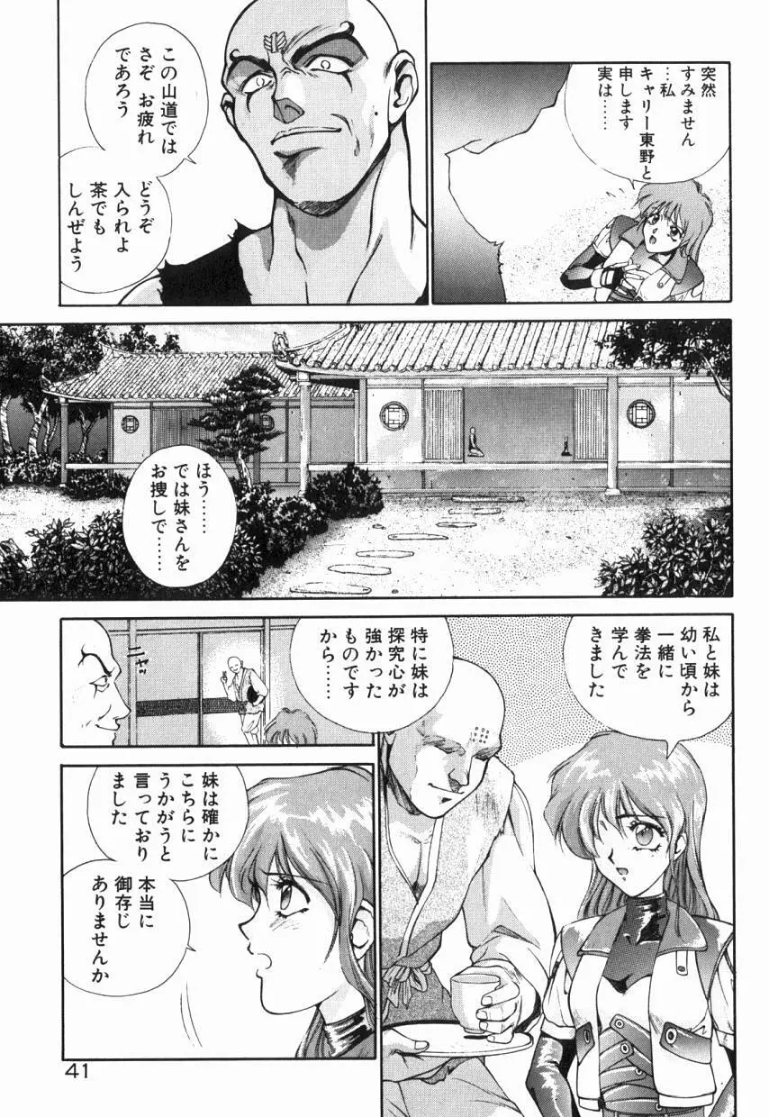 乙女ちっくA&D Page.46