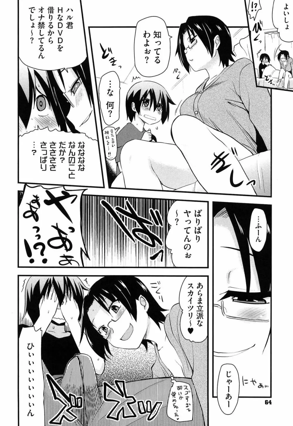 ほとんどの姉はHがしたい Page.65