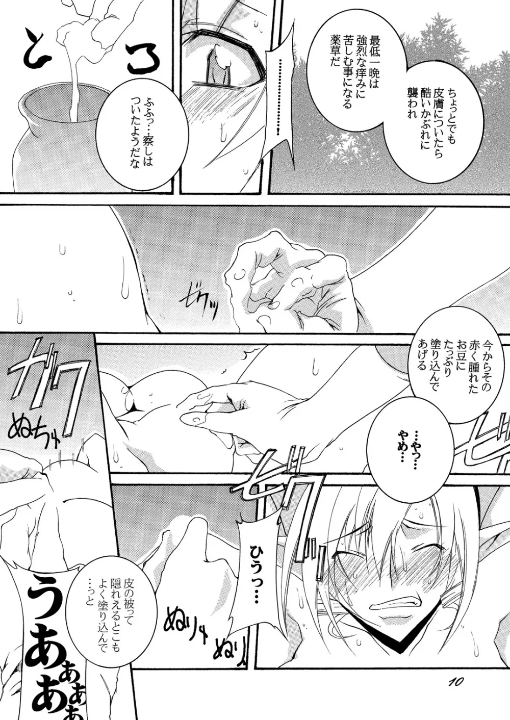 奴隷騎士スティアII Page.9