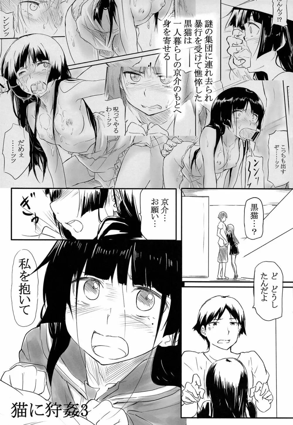 猫に狩姦3 Page.3