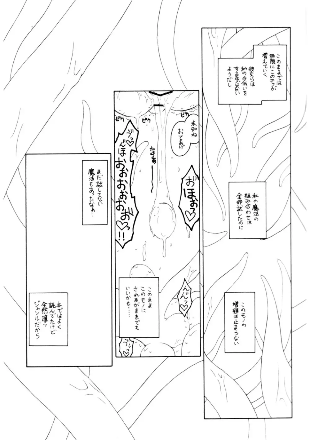 パチュリーの洗礼2 ある館の一日 その2 Page.13