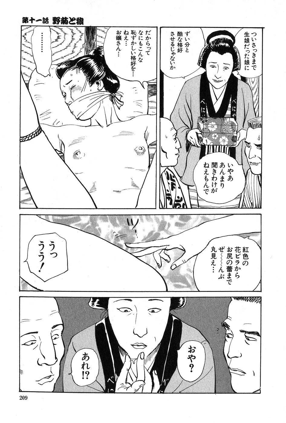 お柳情炎 上巻 Page.210