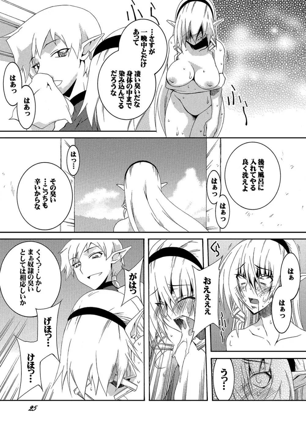 奴隷騎士スティアIII Page.25